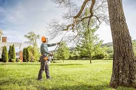 Reliable Mountain View Acres, CA Tree Care Services Solutions